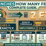Infographic showing that 24 inches how many feet conversion guide