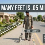 Infographic is showing How many feet is 05 miles?