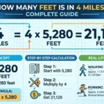 Infographic is showing that How Many Feet is in 4 Miles? Exact Conversion Guide
