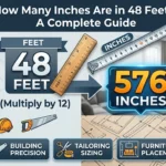 Onfographic is showing that How Many Inches Are in 48 Feet? Easy Conversion Guide