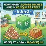 Infographic is trying that How Many Square Feet Is a Car Body? Full Guide