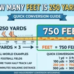 Infographic is showing that How Many Feet Is 250 Yards? Easy Conversion Guide
