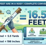 Infographic is showing that How Many Feet Are in a Rod? Complete Conversion Guide
