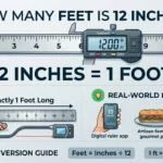 Infographic is showing that How Many Cubic Feet in a Container? Complete Volume Guide