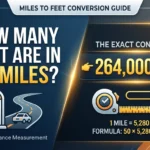 infographic is showing that How Many Feet Are in 50 Miles? Exact Conversion Guide