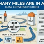 Infographic is showing that How Many Feet of Lights for 9ft Tree? Complete Guide