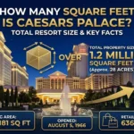 Infographic is showing that How Many Square Feet Is Caesars Palace? Size & Facts