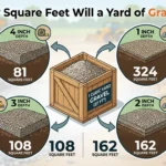 Infographic is showing that any Square Feet Will a Yard of Gravel Cover?