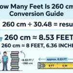 Infographic is showing that How Many Feet Is 260 cm? Conversion Guide
